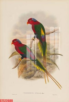 File gốc in tráng gương Tranh sơn dầu phương tây tổng hợp STS72689 chi tiết