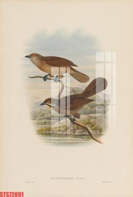 File gốc Tranh sơn dầu phương tây tổng hợp STS72691 (in tráng gương) nghệ thuật