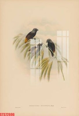 File PSD Tranh sơn dầu phương tây tổng hợp STS72696 (bản gốc) dễ dàng edit