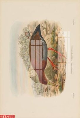 Tải file Tranh sơn dầu phương tây tổng hợp STS72699 (ảnh gốc) in gạch 3D