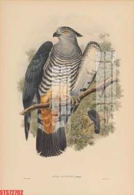 Tải file tranh Tranh sơn dầu phương tây tổng hợp STS72702 (gốc) tại Filetranh.com