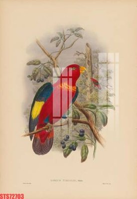 Tệp tin gốc Tranh sơn dầu phương tây tổng hợp STS72703 (chất lượng cao) Tranh sơn dầu phương tây tổng hợp STS72703