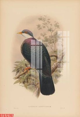 File gốc Tranh sơn dầu phương tây tổng hợp STS72707 (in lụa) trang trí tường