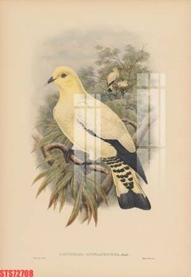 File tranh Tranh sơn dầu phương tây tổng hợp STS72708 (ảnh gốc) sắc nét hoàn hảo