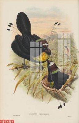 File gốc Tranh sơn dầu phương tây tổng hợp STS72713 (in lụa) cao cấp