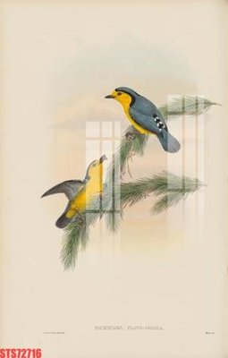 Tải file gốc Tranh sơn dầu phương tây tổng hợp STS72716 (bản PSD) còn layer