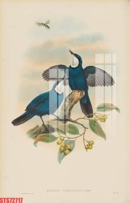 Ảnh mô tả file gốc in mica Tranh sơn dầu phương tây tổng hợp STS72717