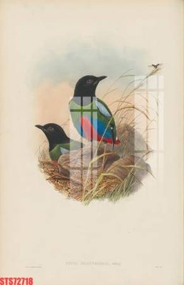 File ảnh Tranh sơn dầu phương tây tổng hợp STS72718 (gốc) in decal dán tường