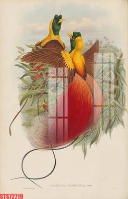 File in lụa Tranh sơn dầu phương tây tổng hợp STS72719 (tân cổ điển) Tranh sơn dầu phương tây tổng hợp STS72719