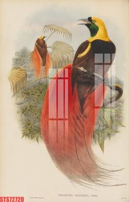 File tranh Tranh sơn dầu phương tây tổng hợp STS72720 (ảnh gốc) in trần 3D