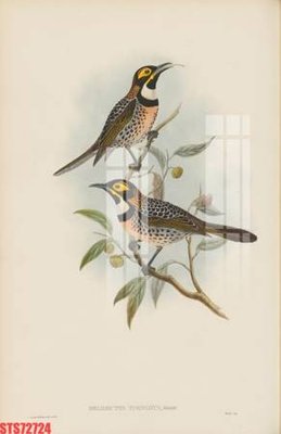 Tải về file gốc Tranh sơn dầu phương tây tổng hợp STS72724 (chuẩn in ấn)