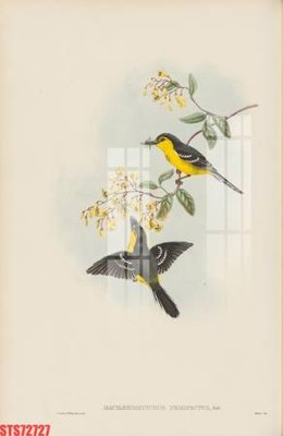 File tranh Tranh sơn dầu phương tây tổng hợp STS72727 (gốc) chủ đề trẻ em