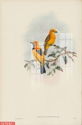 Tải file Tranh sơn dầu phương tây tổng hợp STS72736 (gốc) làm file tranh quảng cáo