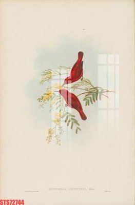 Tải về file gốc Tranh sơn dầu phương tây tổng hợp STS72744 (dùng cho in quảng cáo)