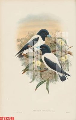 File tranh gốc PSD Tranh sơn dầu phương tây tổng hợp STS72748 còn nguyên layer