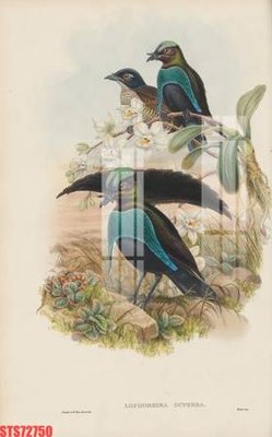 Tệp tin gốc Tranh sơn dầu phương tây tổng hợp STS72750 (chất lượng) Tranh sơn dầu phương tây tổng hợp STS72750