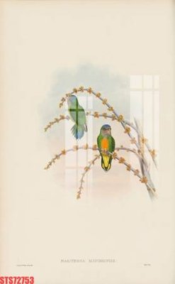 File in trần Tranh sơn dầu phương tây tổng hợp STS72753 (bản gốc) mây trời