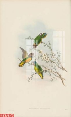 Tải file tranh gốc Tranh sơn dầu phương tây tổng hợp STS72754 chất lượng cao