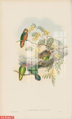 Tải file gốc Tranh sơn dầu phương tây tổng hợp STS72755 (bản PSD) gốc