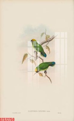 Tải file Tranh sơn dầu phương tây tổng hợp STS72759 (gốc) làm tranh trang trí