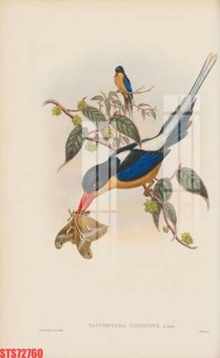 Hình ảnh file gốc Tranh sơn dầu phương tây tổng hợp STS72760 cho in UV