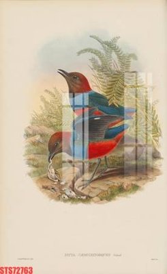 Tải file Tranh sơn dầu phương tây tổng hợp STS72763 (ảnh gốc) 300dpi Tranh sơn dầu phương tây tổng hợp STS72763