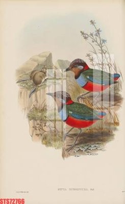 File tranh Tranh sơn dầu phương tây tổng hợp STS72766 (gốc) in trên kính