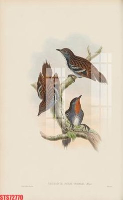 File in trần Tranh sơn dầu phương tây tổng hợp STS72770 (bản gốc) phong cảnh