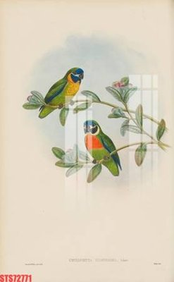 File PSD Tranh sơn dầu phương tây tổng hợp STS72771 (gốc) cho in quảng cáo