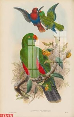 Tải file gốc Tranh sơn dầu phương tây tổng hợp STS72777 (in khổ lớn) quảng cáo