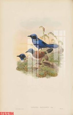 File in trần Tranh sơn dầu phương tây tổng hợp STS72784 (bản gốc) đại dương