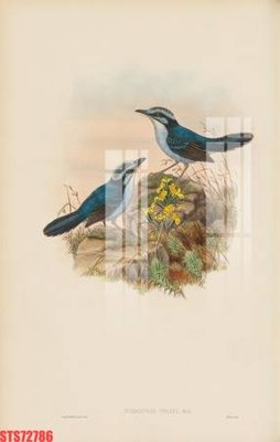 Download file tranh PSD Tranh sơn dầu phương tây tổng hợp STS72786 để chỉnh sửa