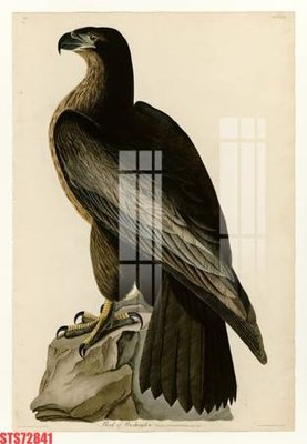 File in ấn cao cấp Tranh sơn dầu phương tây tổng hợp STS72841 (file gốc)