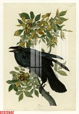 Download file gốc Tranh sơn dầu phương tây tổng hợp STS72842 (độ nét cao)