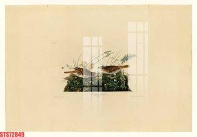 File gốc Tranh sơn dầu phương tây tổng hợp STS72849 (PSD/TIFF) độ phân giải cao