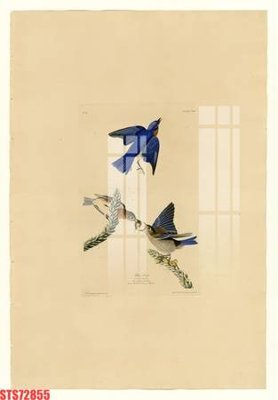 Tải về file gốc Tranh sơn dầu phương tây tổng hợp STS72855 (dùng cho in quảng cáo)