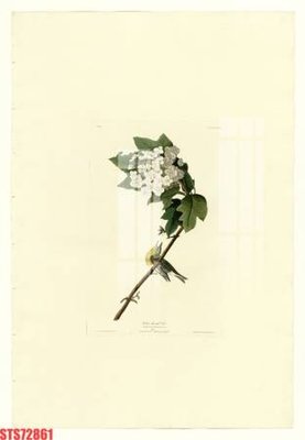 File gốc Tranh sơn dầu phương tây tổng hợp STS72861 (cho in UV) siêu nét