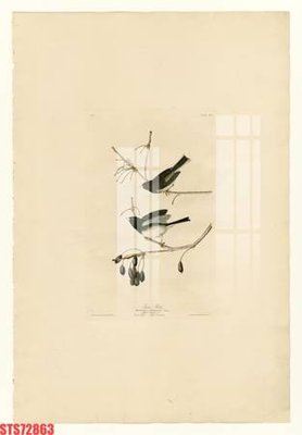 Tải file gốc Tranh sơn dầu phương tây tổng hợp STS72863 (in tráng gương) 5DFile gốc Tranh sơn dầu phương tây tổng hợp STS72863 (in ấn) phiên bản premium