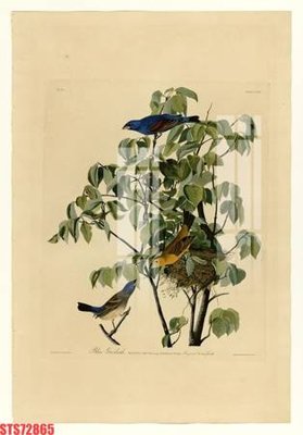 Tải file Tranh sơn dầu phương tây tổng hợp STS72865 (gốc) làm file quảng cáo