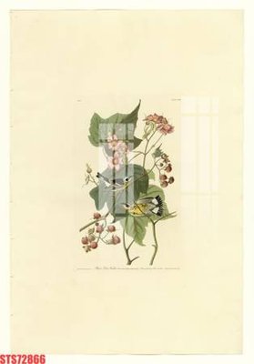 Tải file gốc Tranh sơn dầu phương tây tổng hợp STS72866 (in không vỡ ảnh)