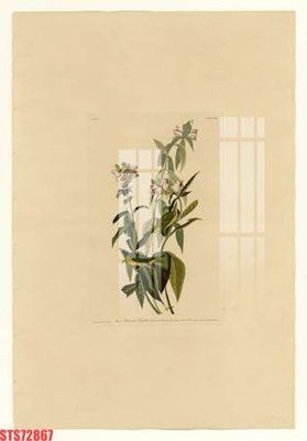 File PSD Tranh sơn dầu phương tây tổng hợp STS72867 (bản gốc) độ phân giải cao