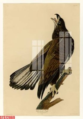 Tải file Tranh sơn dầu phương tây tổng hợp STS72869 (gốc) để in ấn ngay