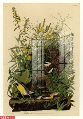 Tải file Tranh sơn dầu phương tây tổng hợp STS72880 (gốc) làm tranh trang trí