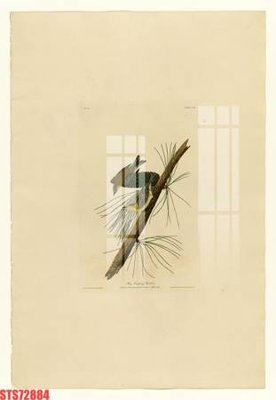 File tranh gốc Tranh sơn dầu phương tây tổng hợp STS72884 (bản quyền) Filetranh.com