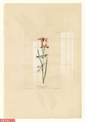 Tải file Tranh sơn dầu phương tây tổng hợp STS72885 (gốc) chủ đề tôn giáo