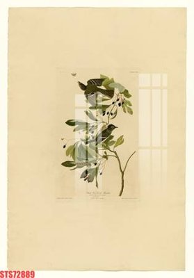 File PSD Tranh sơn dầu phương tây tổng hợp STS72889 (chất lượng in ấn)