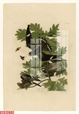 Tải file Tranh sơn dầu phương tây tổng hợp STS72892 (gốc) chủ đề tâm linh