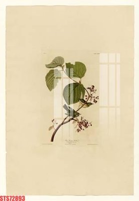 Download file gốc Tranh sơn dầu phương tây tổng hợp STS72893 (in mica) trong suốt