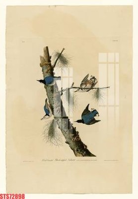 Download file gốc Tranh sơn dầu phương tây tổng hợp STS72898 (độ nét cao)