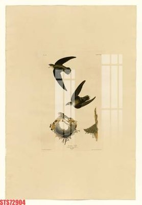 File tranh gốc in trần nhà Tranh sơn dầu phương tây tổng hợp STS72904 3D